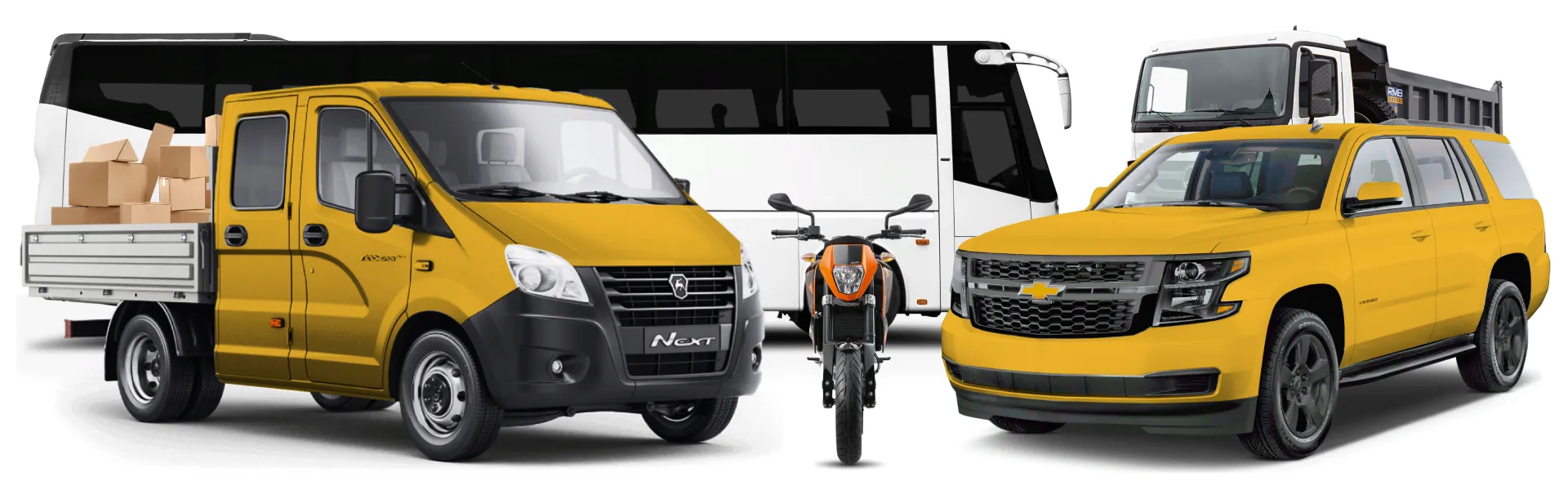 Купить права